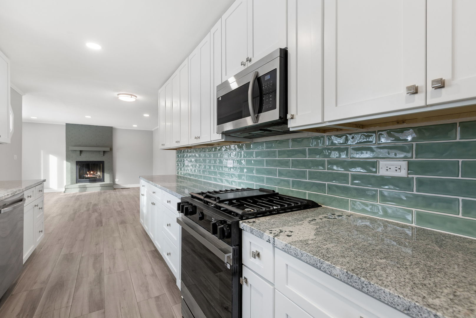 475 East Merle Lane Wheeling, IL 60090 - Photo 10 of 17