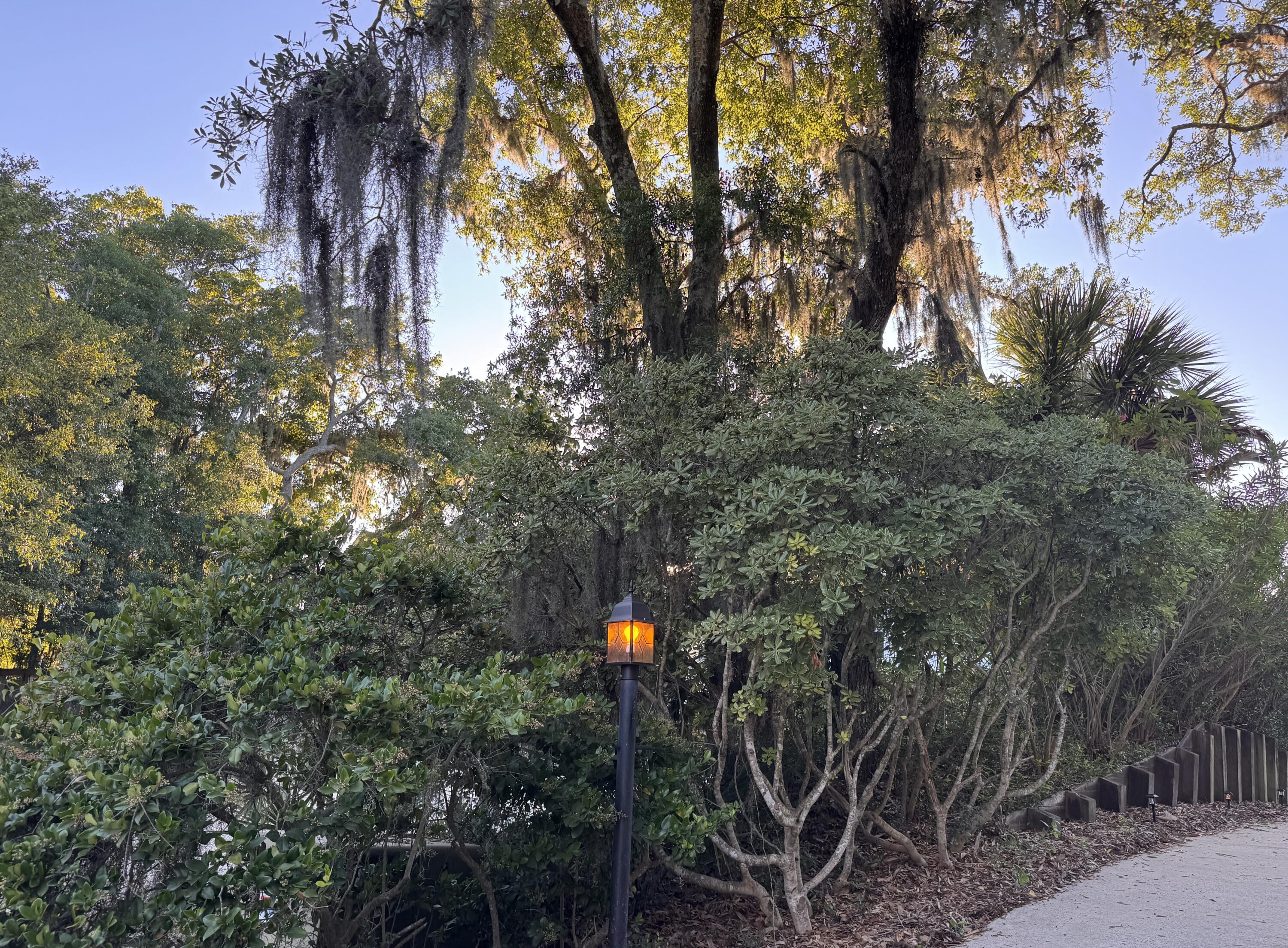 705 Sandpiper Ridge Edisto Island, SC 29438 - Photo 56 of 57 49