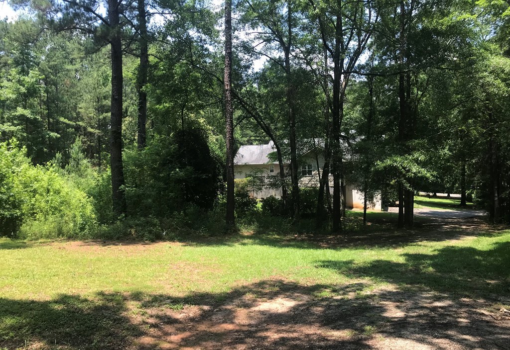 77 Amethest Road Juliette, GA 31046 - Photo 5 of 8 a view of a yard