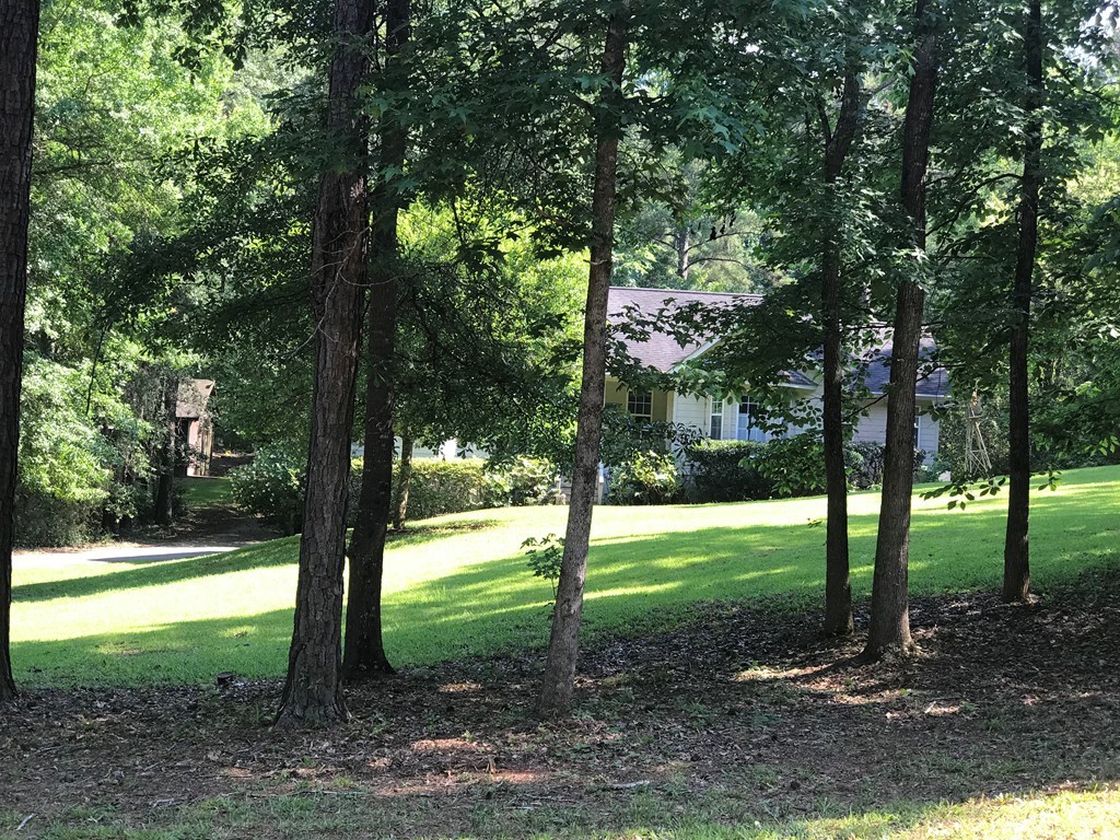 77 Amethest Road Juliette, GA 31046 - Photo 8 of 8 a view of a trees in a yard
