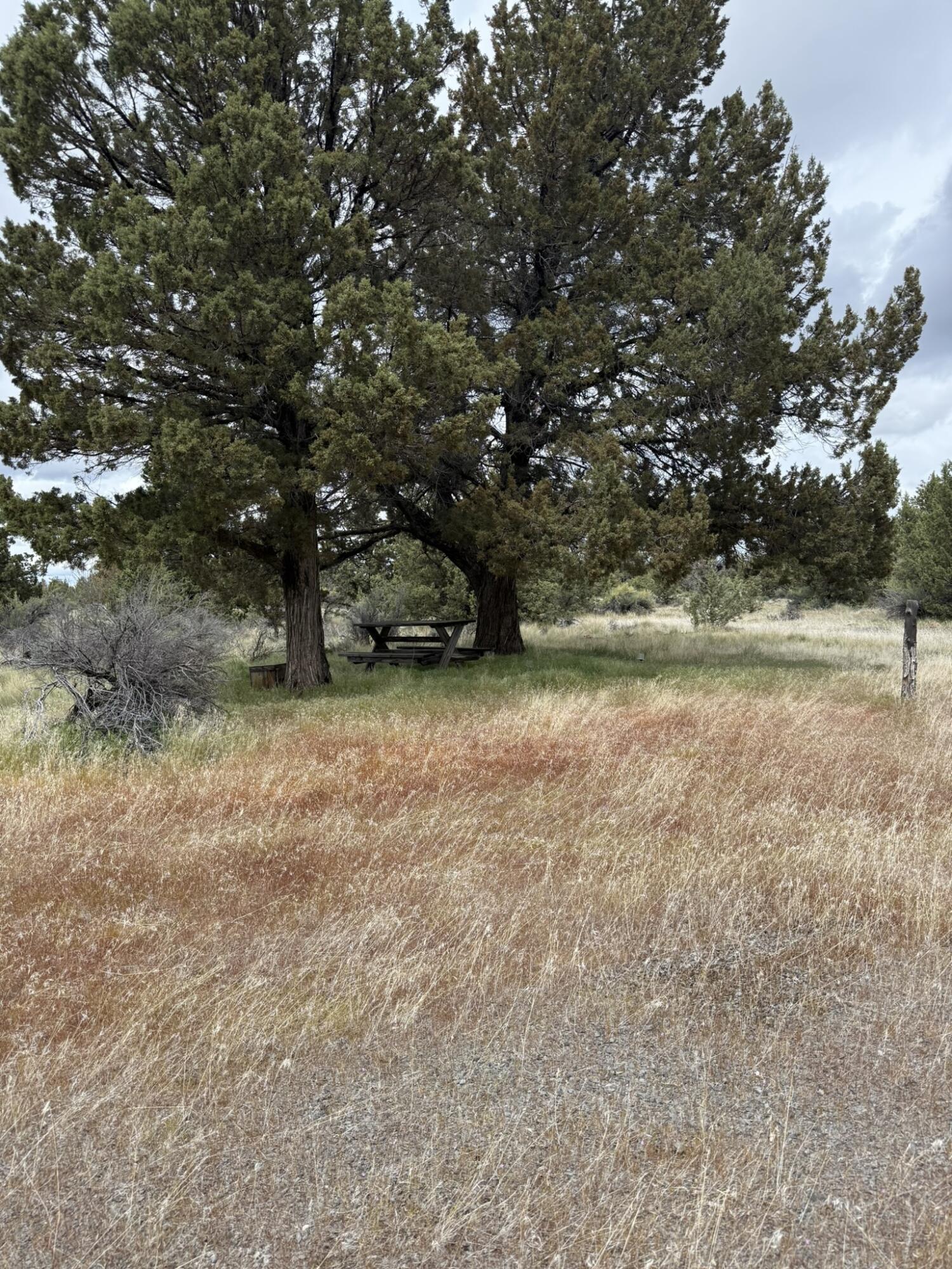 Picnic area