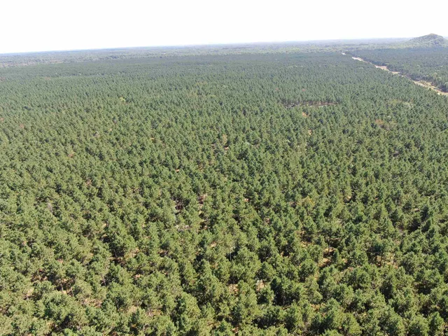 $208,000 | 13 Nekoosa Wi 54457, Nekoosa, WI 54457