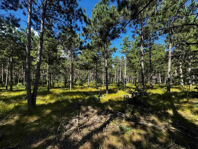 $208,000 | 13 Nekoosa Wi 54457, Nekoosa, WI 54457