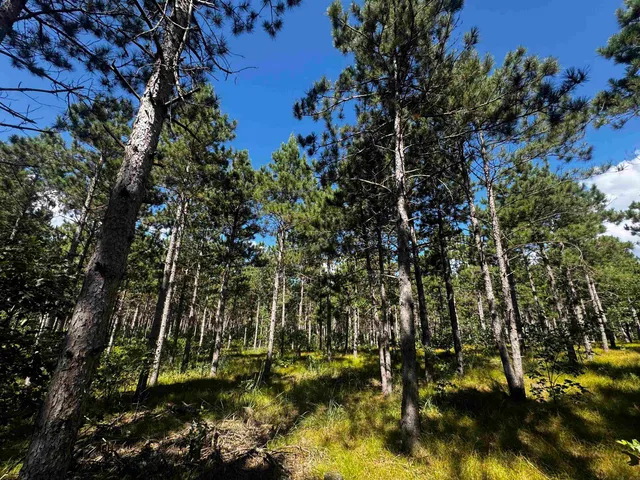 $208,000 | 13 Nekoosa Wi 54457, Nekoosa, WI 54457