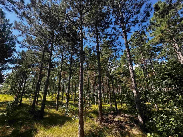 $208,000 | 13 Nekoosa Wi 54457, Nekoosa, WI 54457