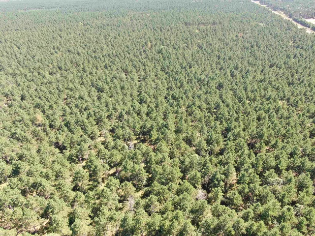 $208,000 | 13 Nekoosa Wi 54457, Nekoosa, WI 54457