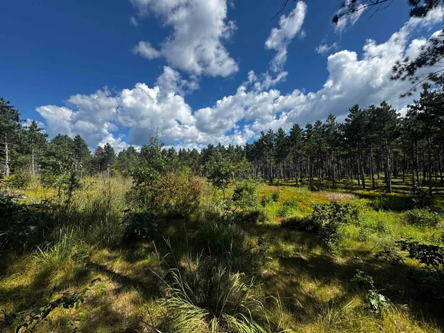 $208,000 | 13 Nekoosa Wi 54457, Nekoosa, WI 54457