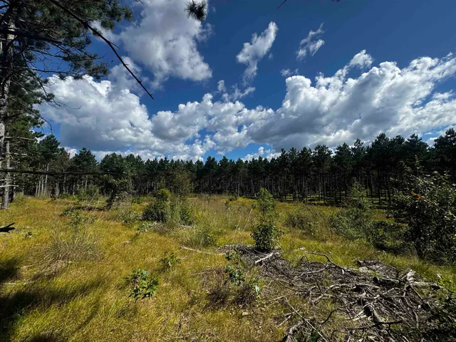 $208,000 | 13 Nekoosa Wi 54457, Nekoosa, WI 54457