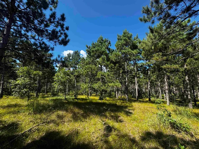 $208,000 | 13 Nekoosa Wi 54457, Nekoosa, WI 54457