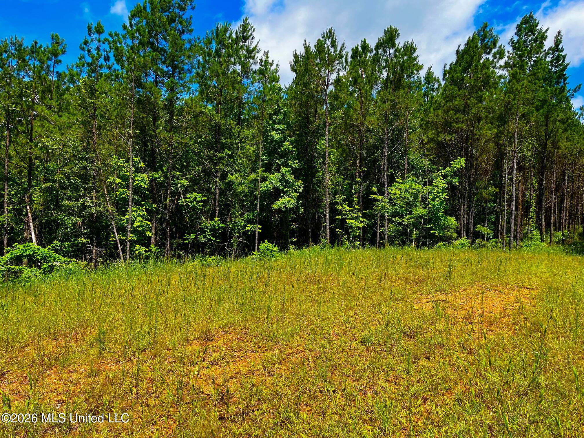 Arthur Drive Brookhaven, MS 39601 - Photo 11 of 20 ar10