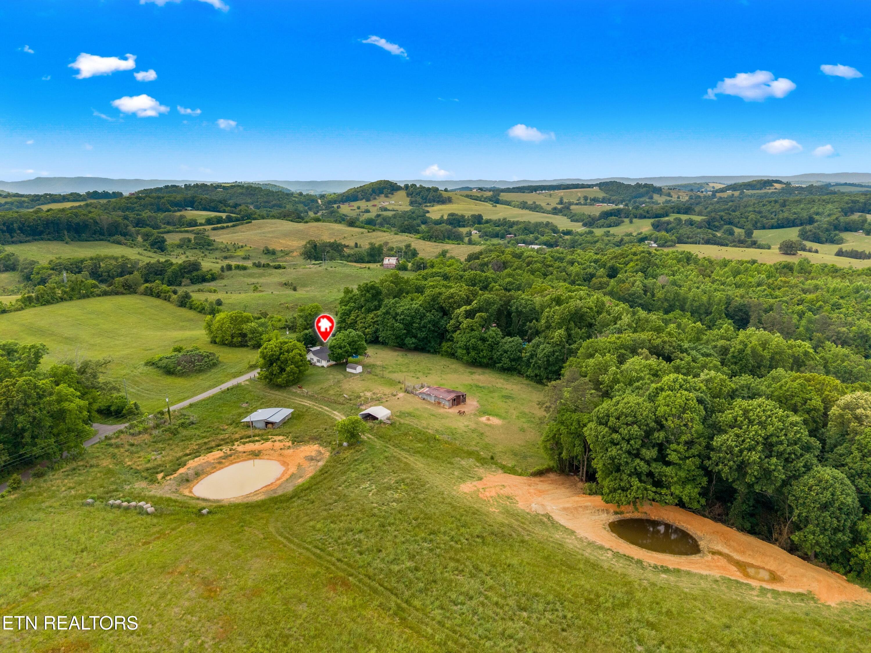 485 Longmire Road Rutledge, TN 37861 - Photo 9 of 28 010-485LongmireRoad-Rutledge-TN-37861-SM