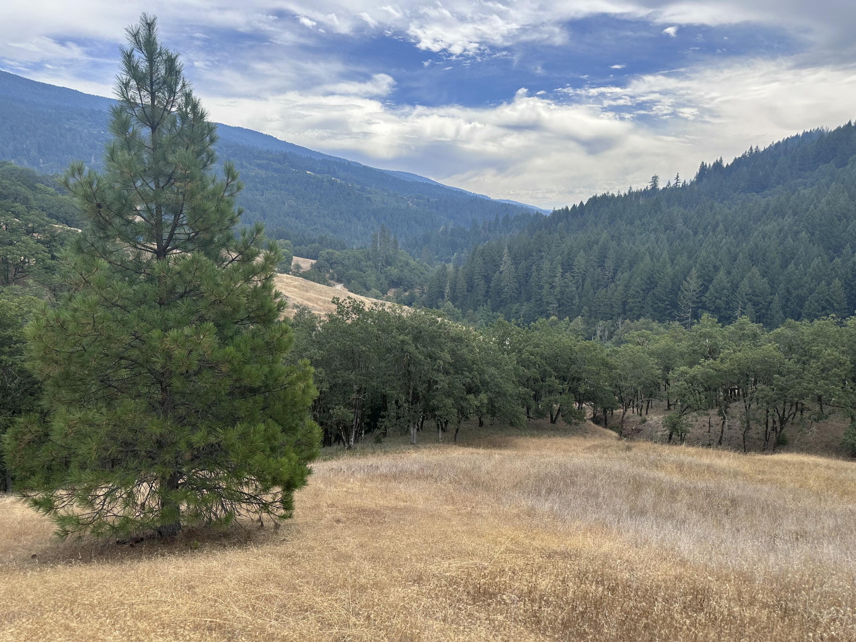 0 River Road Miranda, CA 95553 - Photo 2 of 31