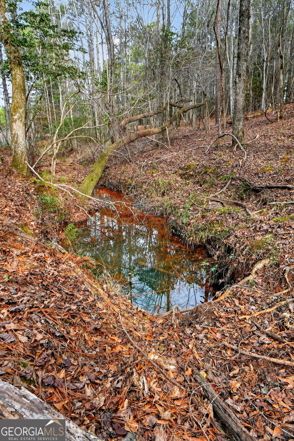 57.4-acres County Line Church Road Warm Springs, GA 31830 - Photo 11 of 35 a view of outdoor space with swimming pool
