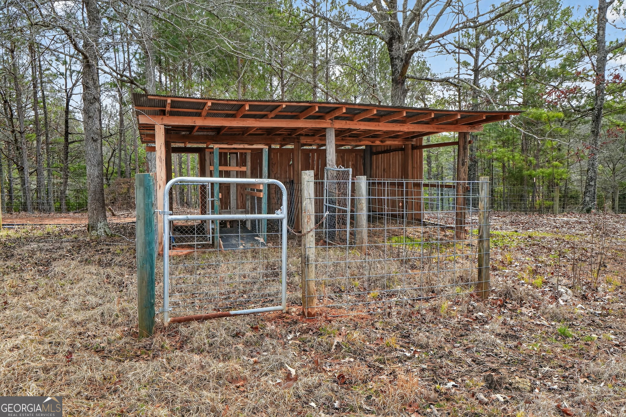 57.4-acres County Line Church Road Warm Springs, GA 31830 - Photo 12 of 35 a view of a house with backyard