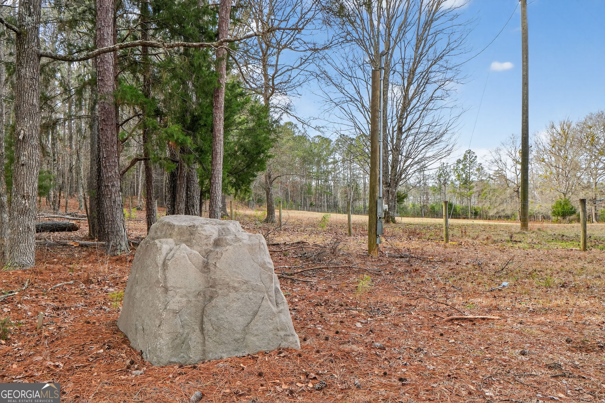 57.4-acres County Line Church Road Warm Springs, GA 31830 - Photo 13 of 35 a view of a backyard with large trees
