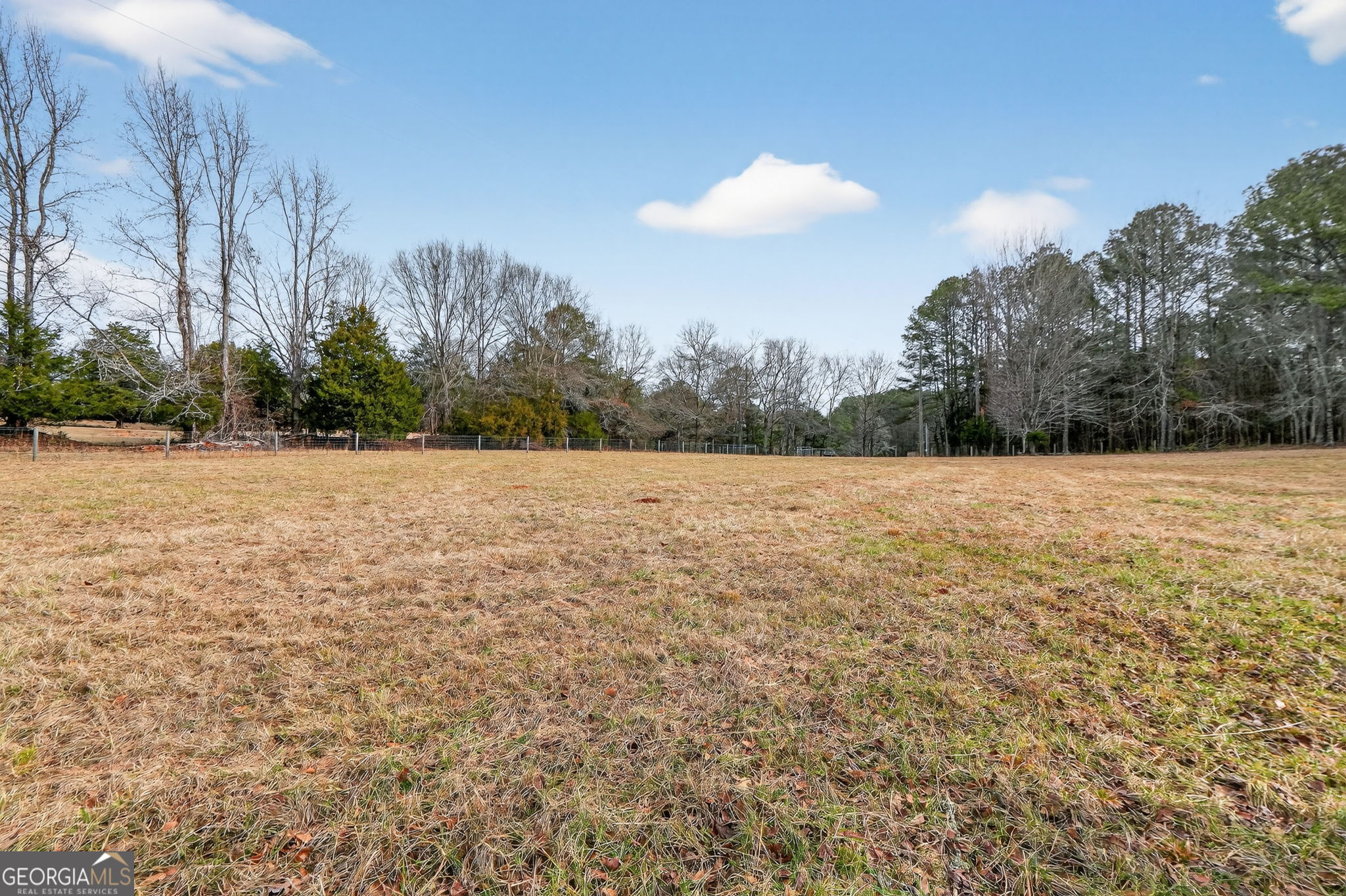 57.4-acres County Line Church Road Warm Springs, GA 31830 - Photo 14 of 35