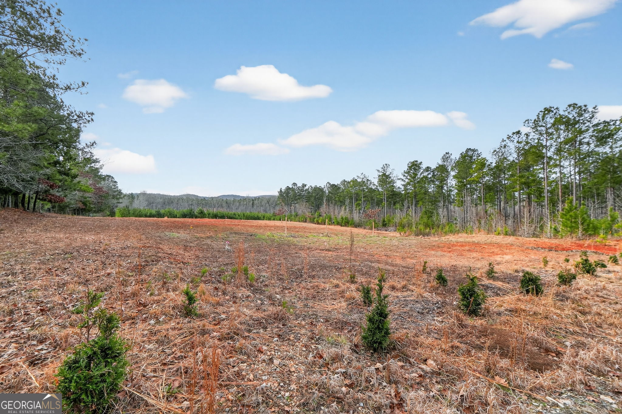 57.4-acres County Line Church Road Warm Springs, GA 31830 - Photo 17 of 35 a view of lake and mountain