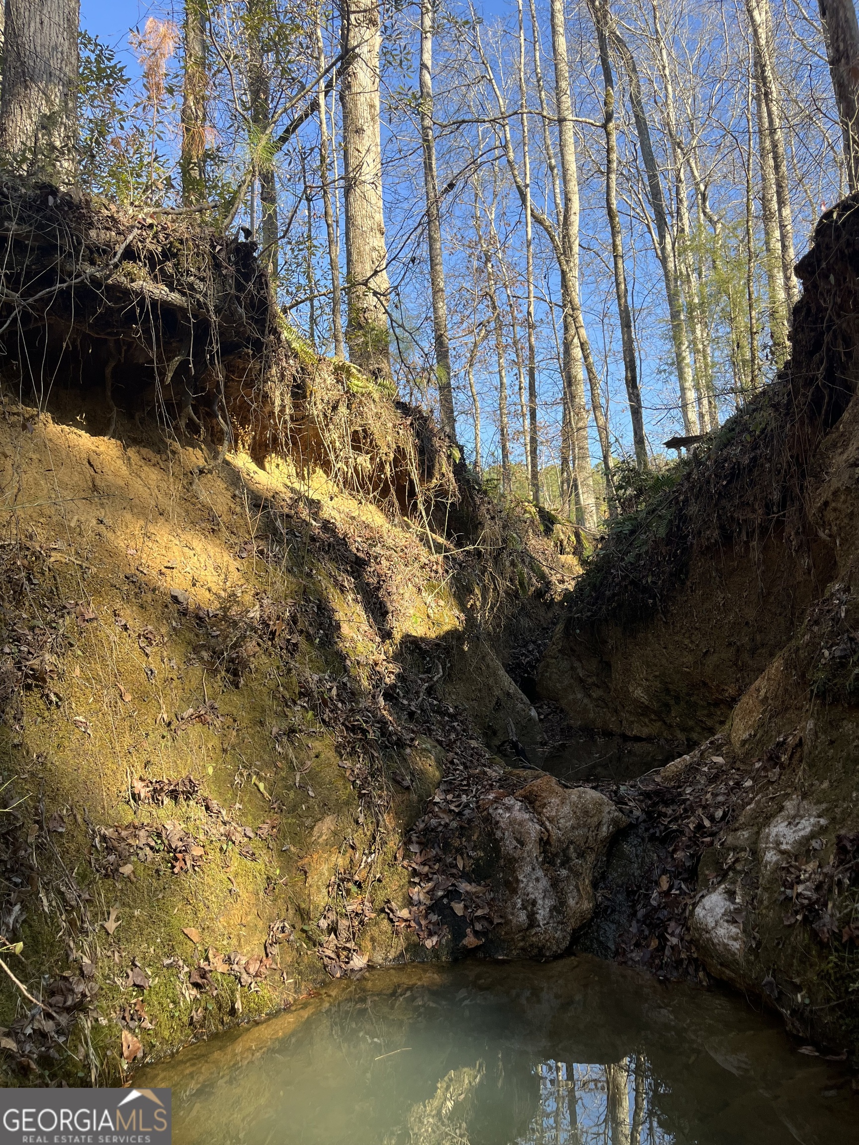 57.4-acres County Line Church Road Warm Springs, GA 31830 - Photo 18 of 35 a view of lake
