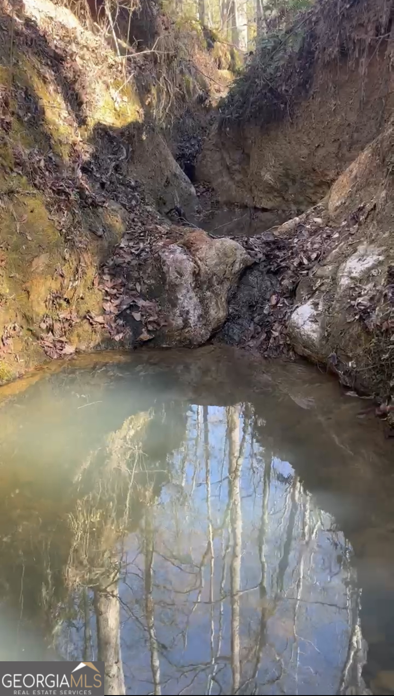 57.4-acres County Line Church Road Warm Springs, GA 31830 - Photo 19 of 35 a view of lake