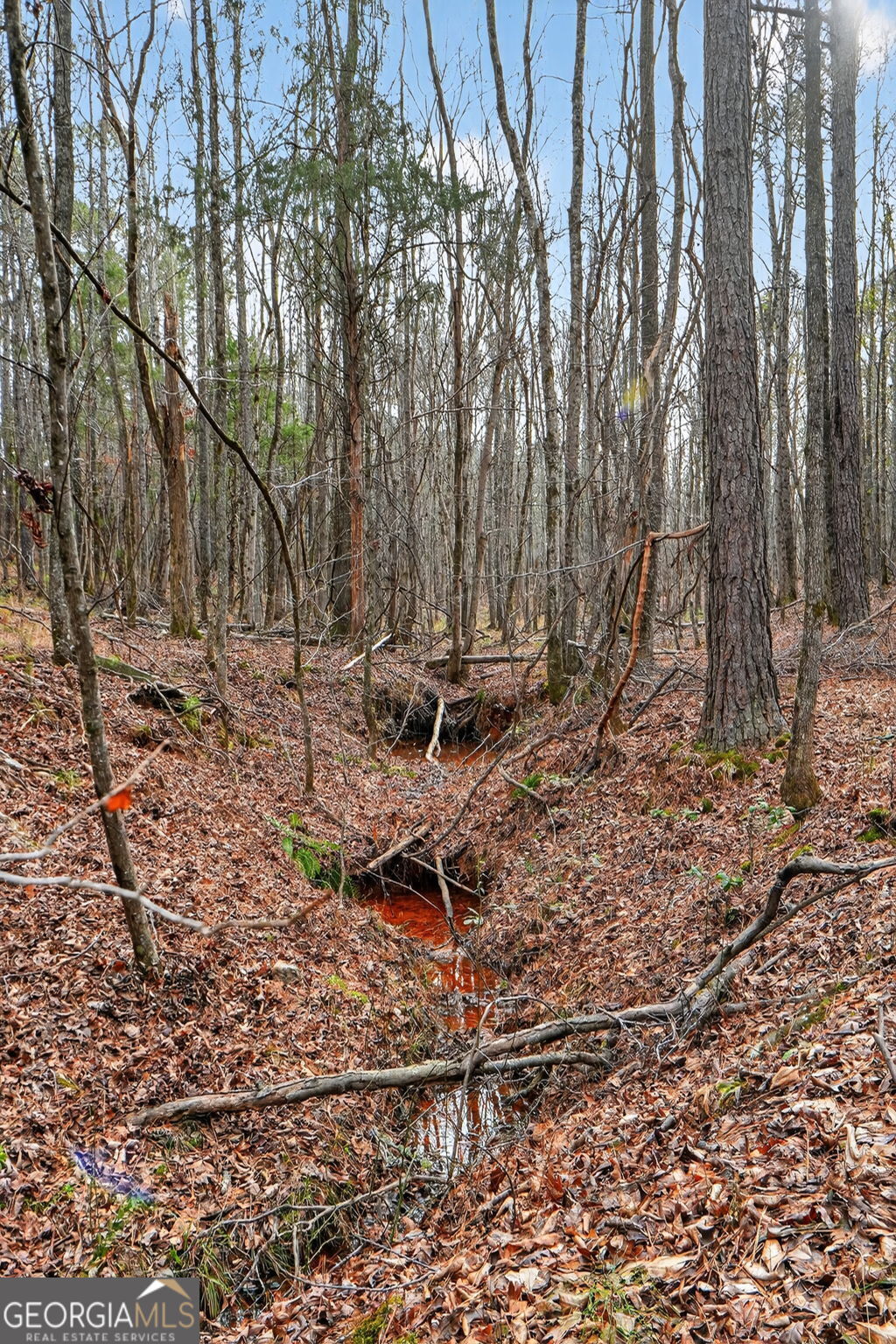 57.4-acres County Line Church Road Warm Springs, GA 31830 - Photo 20 of 35 a view of a backyard with large trees