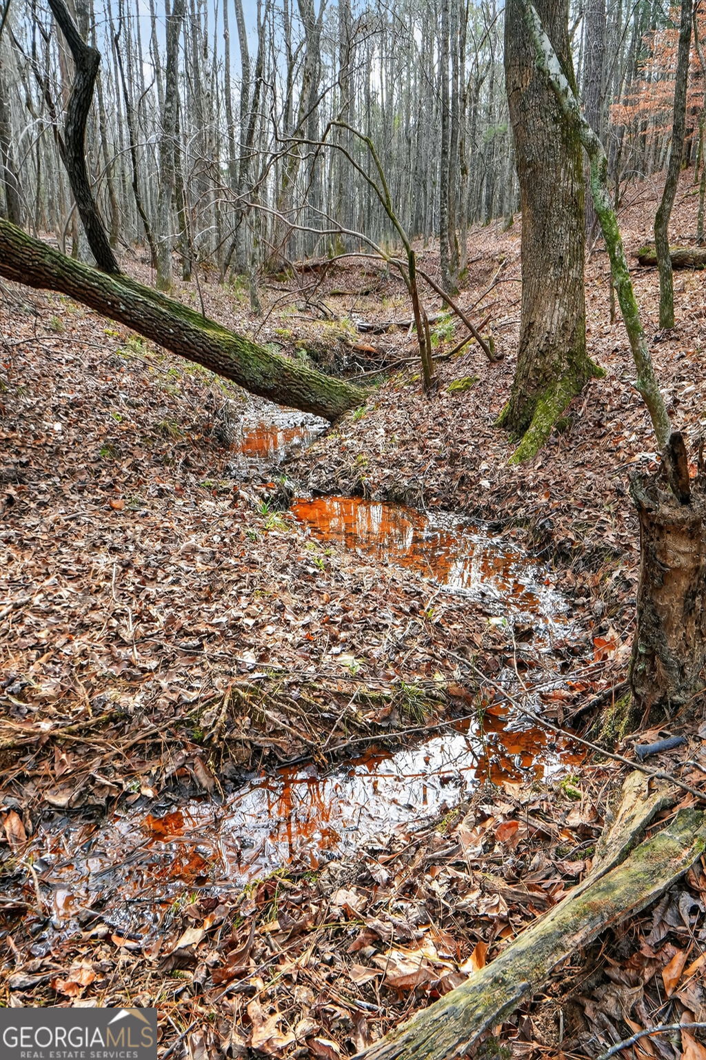 57.4-acres County Line Church Road Warm Springs, GA 31830 - Photo 21 of 35 a view of a yard with wooden fence