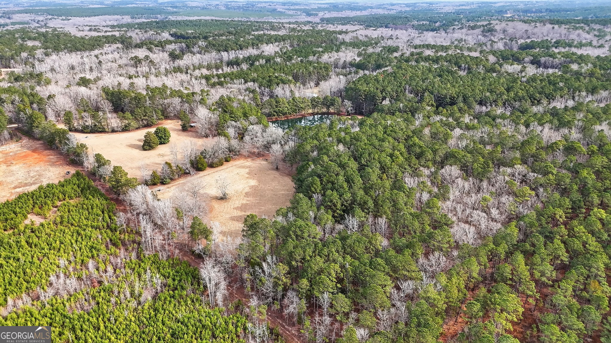 57.4-acres County Line Church Road Warm Springs, GA 31830 - Photo 25 of 35 a view of a city