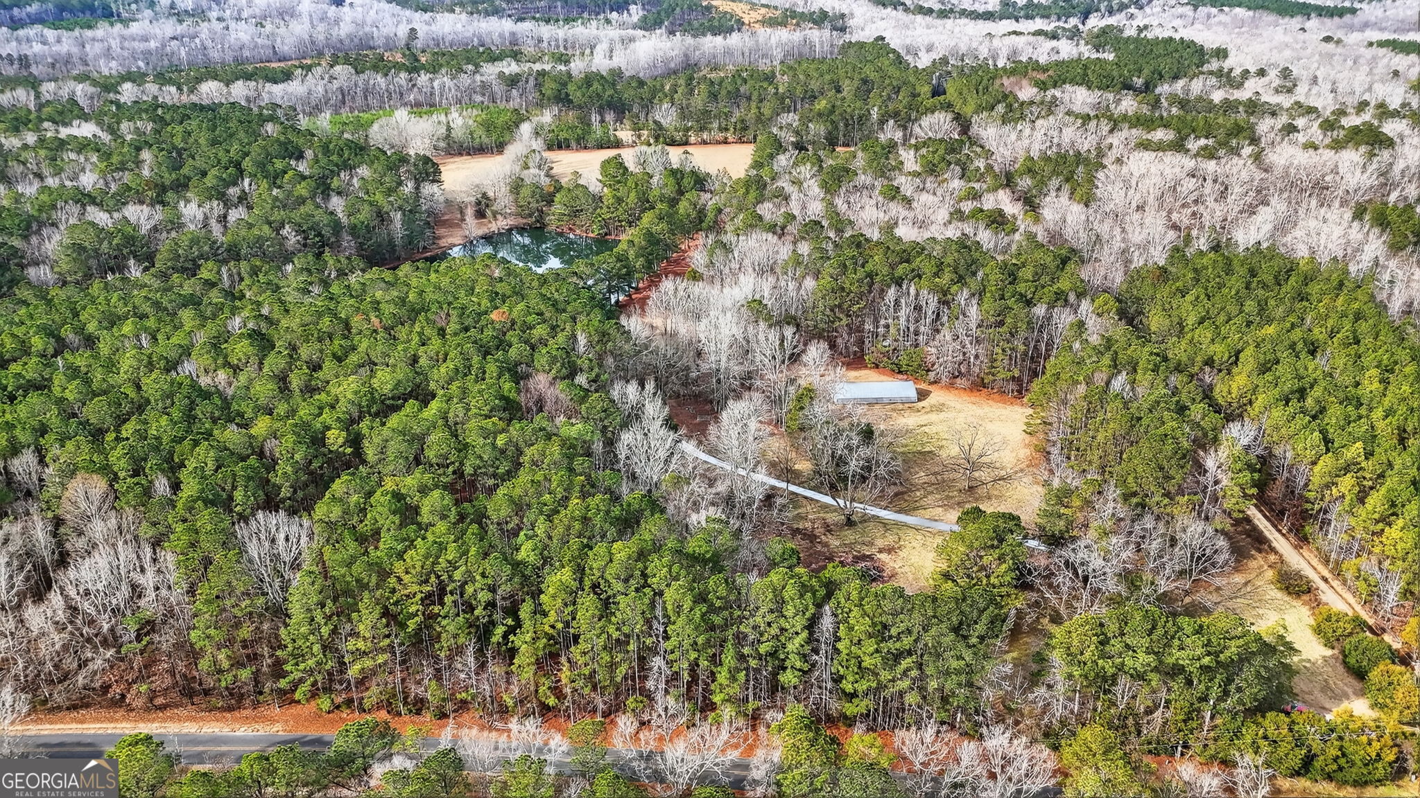 57.4-acres County Line Church Road Warm Springs, GA 31830 - Photo 28 of 35 a backyard of a house with lots of green space