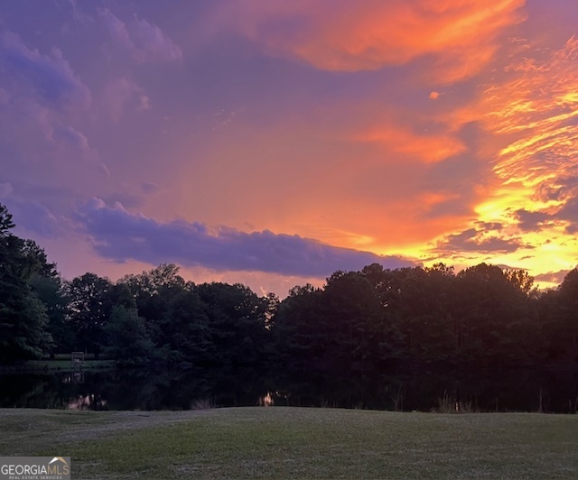 57.4-acres County Line Church Road Warm Springs, GA 31830 - Photo 29 of 35 a view of sunset
