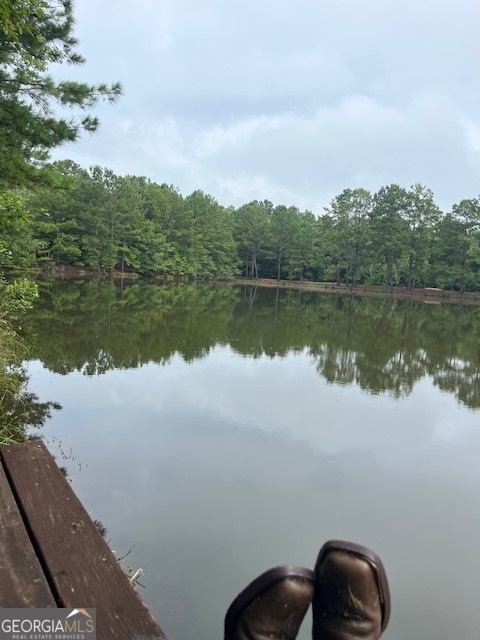 57.4-acres County Line Church Road Warm Springs, GA 31830 - Photo 30 of 35 a view of lake