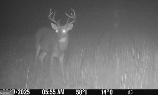 57.4-acres County Line Church Road Warm Springs, GA 31830 - Photo 31 of 35 a picture of a room