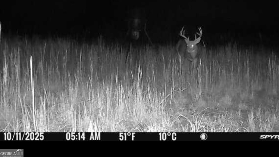 57.4-acres County Line Church Road Warm Springs, GA 31830 - Photo 32 of 35 a view of outdoor space with wooden floor