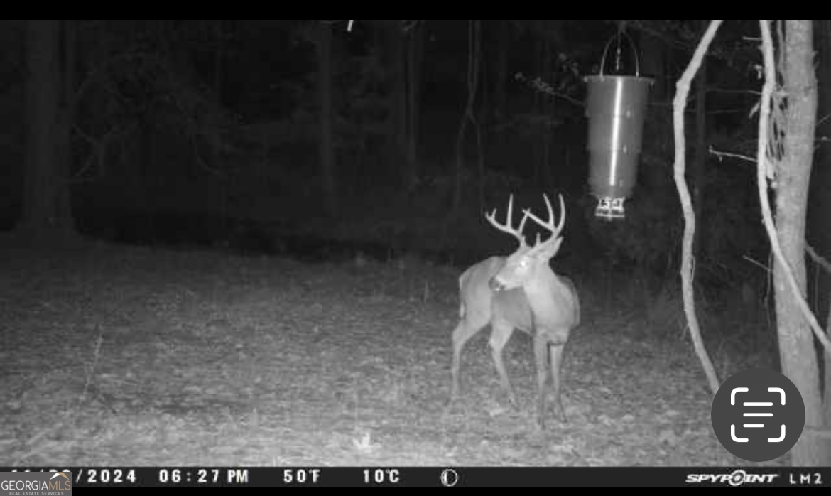 57.4-acres County Line Church Road Warm Springs, GA 31830 - Photo 33 of 35 a view of a closet