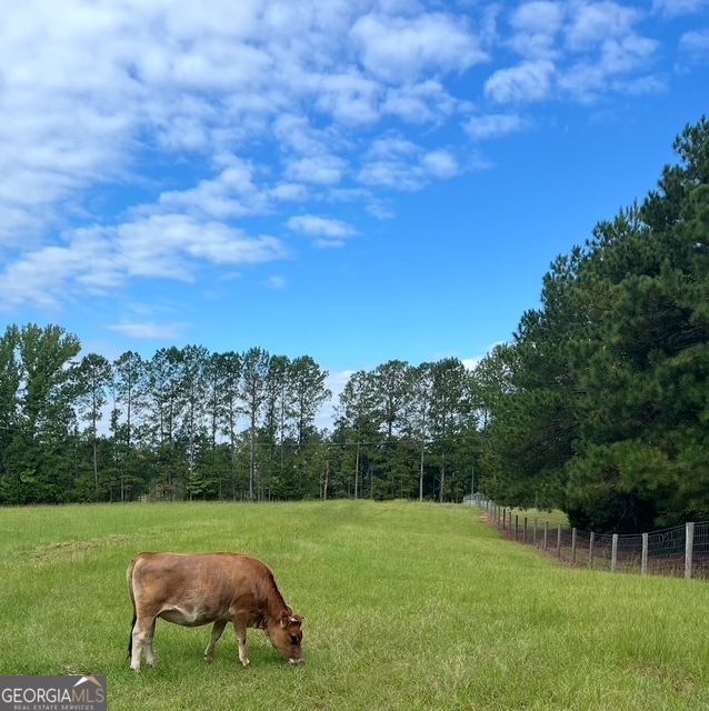 57.4-acres County Line Church Road Warm Springs, GA 31830 - Photo 34 of 35 a view of an outdoor space and yard