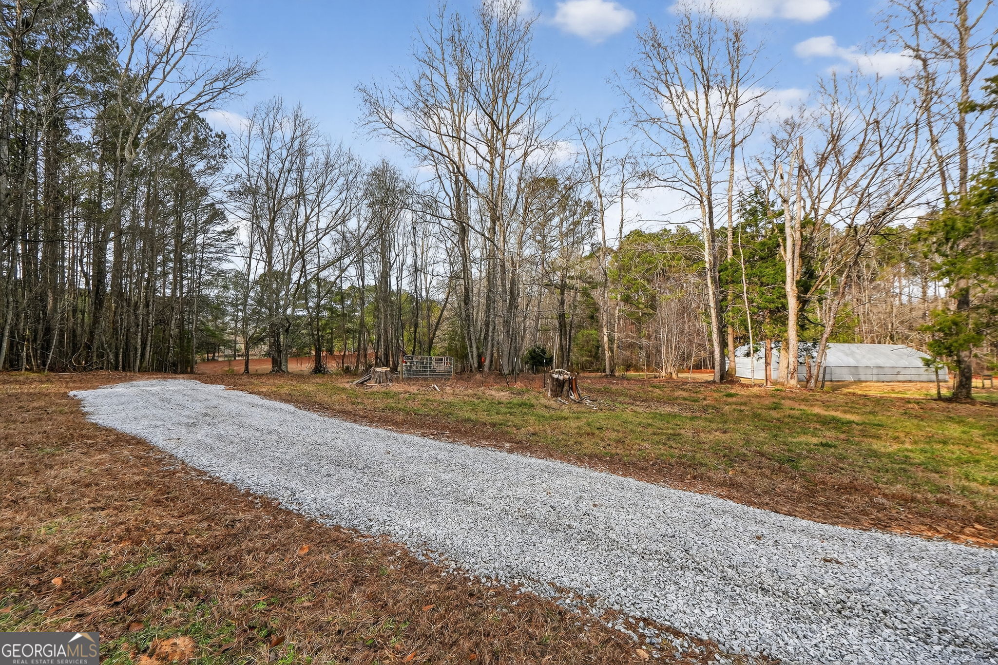 57.4-acres County Line Church Road Warm Springs, GA 31830 - Photo 4 of 35 a view of road with trees