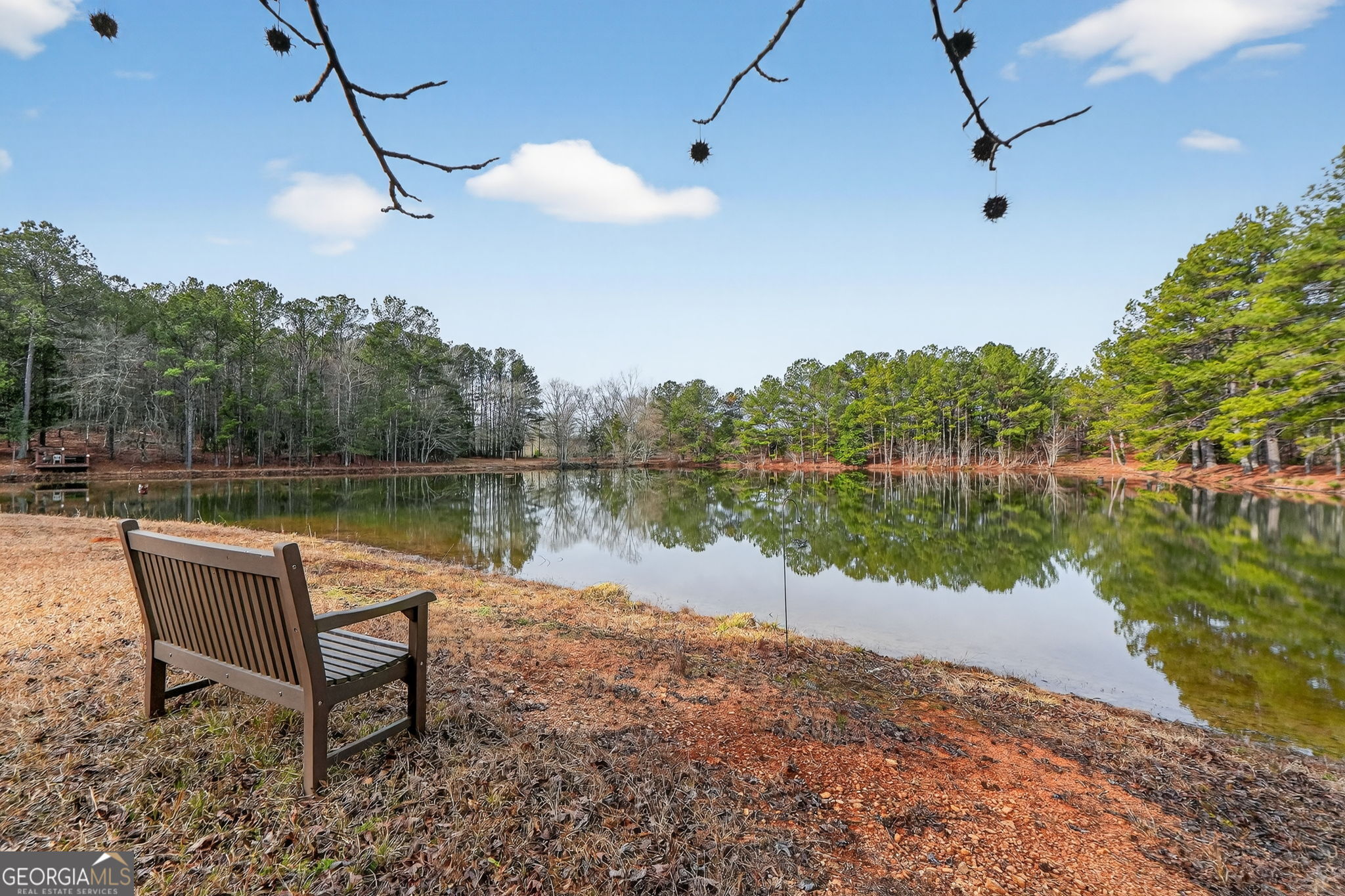 57.4-acres County Line Church Road Warm Springs, GA 31830 - Photo 6 of 35 a lake view with a lake view