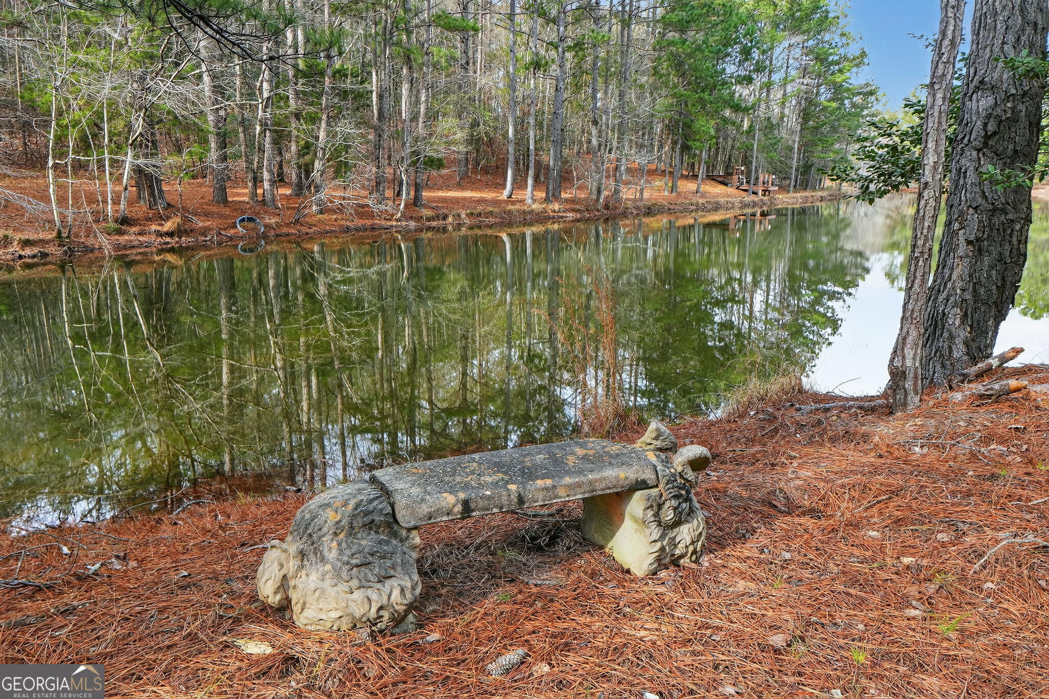 57.4-acres County Line Church Road Warm Springs, GA 31830 - Photo 9 of 35 a view of swimming pool with a yard and large trees