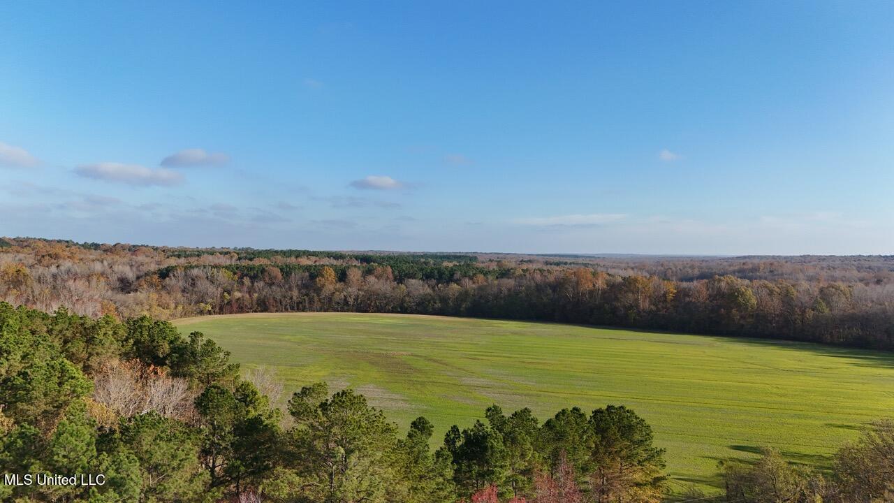 8 Mill Pond Road Lamar, MS 38642 - Photo 3 of 99 dji_fly_20241126_082636_0182_17326583130
