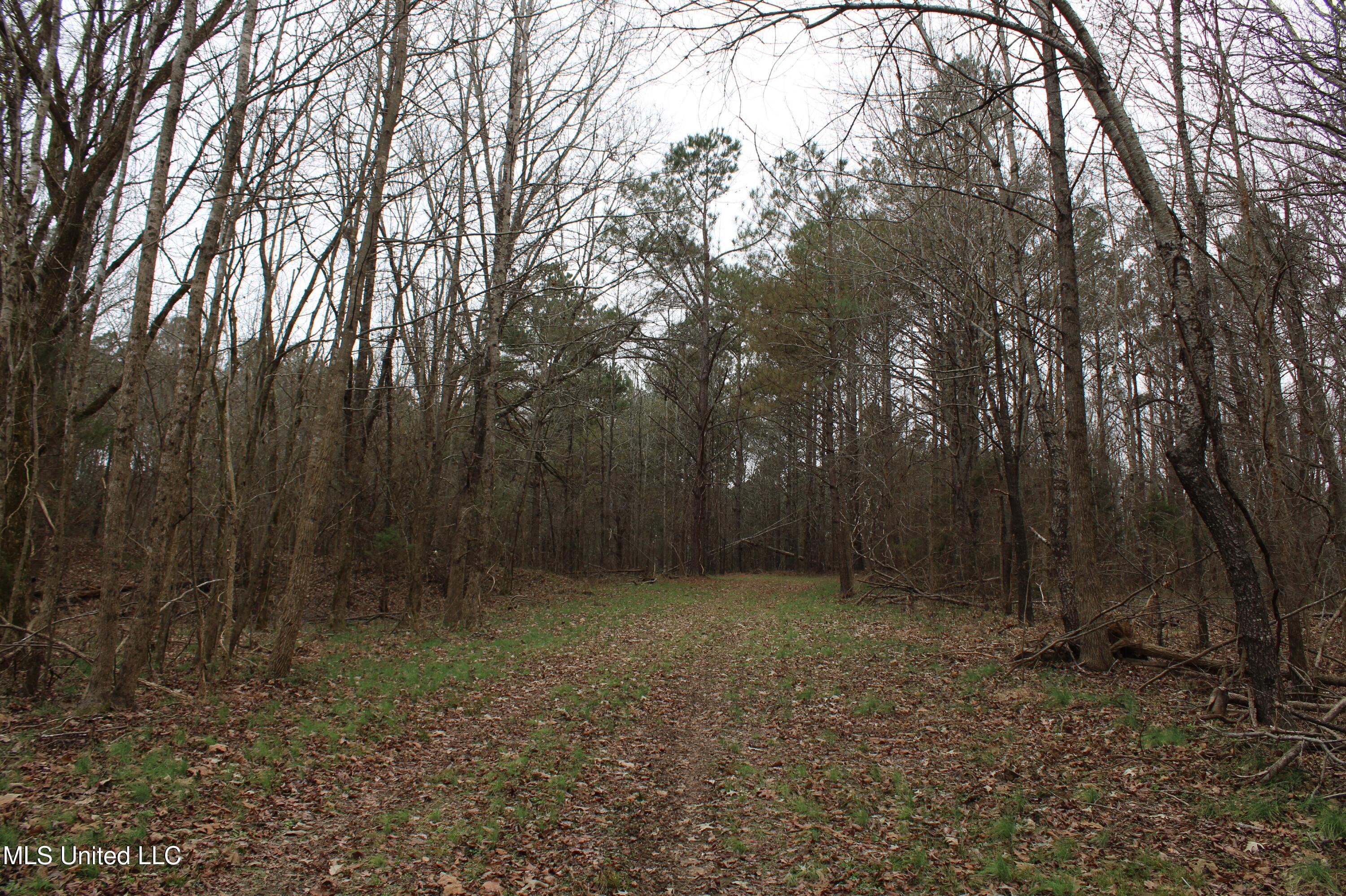 8 Mill Pond Road Lamar, MS 38642 - Photo 90 of 99 IMG_5277