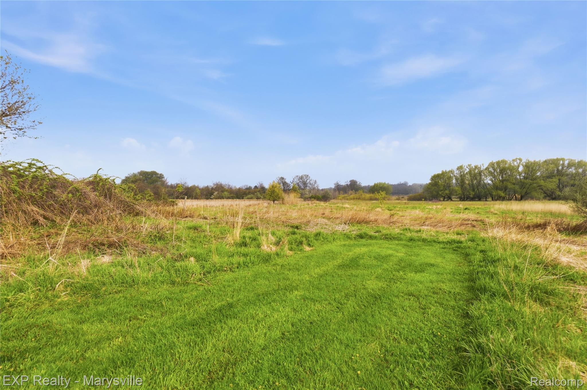 3345 Beach Road Port Huron, MI 48060 - Photo 39 of 89 View of undeveloped land with rural landscape