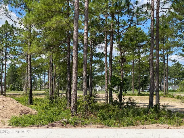 $480,000 | 8743 Compass Pointe West Wynd Northeast, Unit WYND, Leland, NC 28451