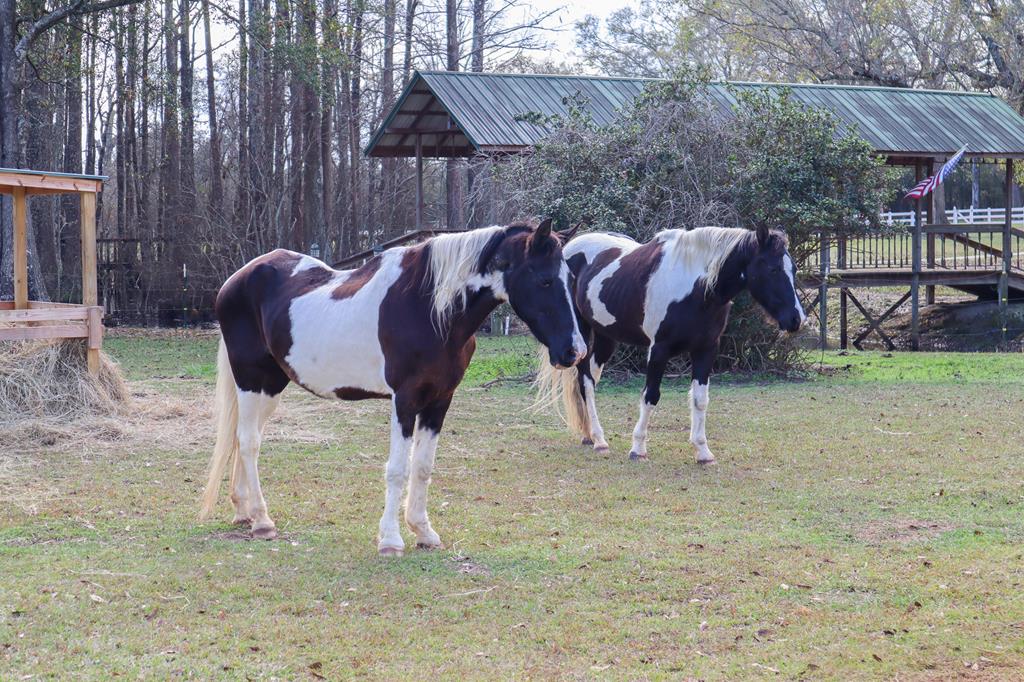 611 A J Register Road Dothan, AL 36301 - Photo 47 of 58