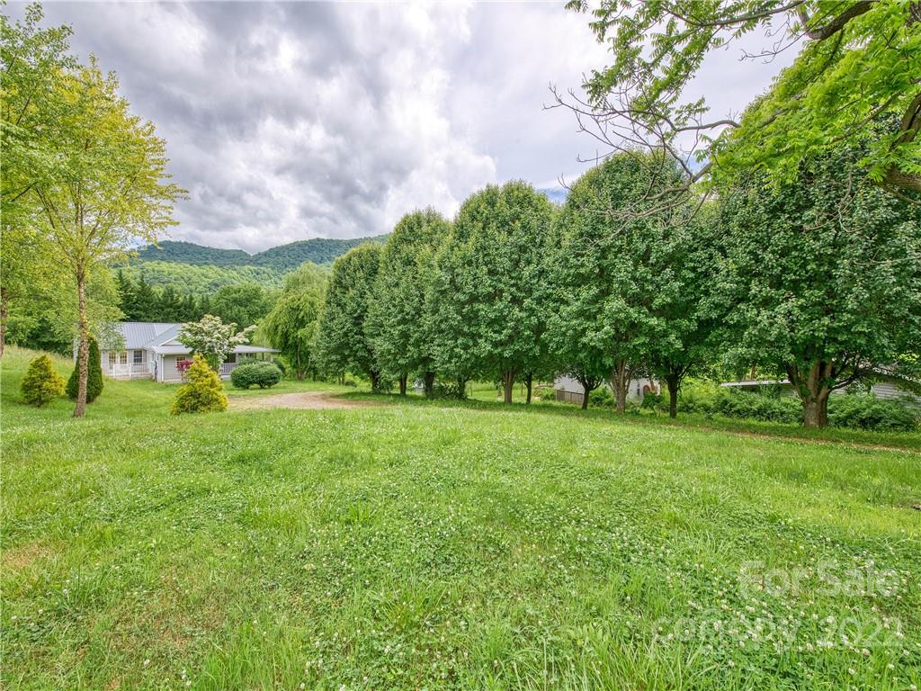 217 Durham Road Clyde, NC 28721 - Photo 6 of 24 a view of yard with green space
