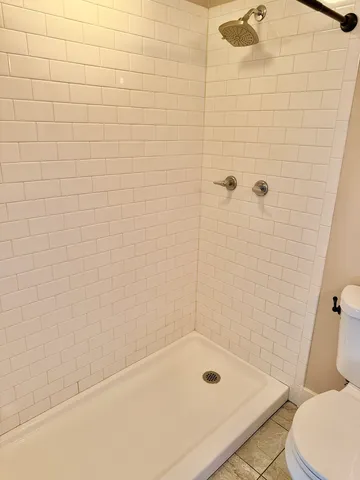 a bathroom with a shower and a toilet