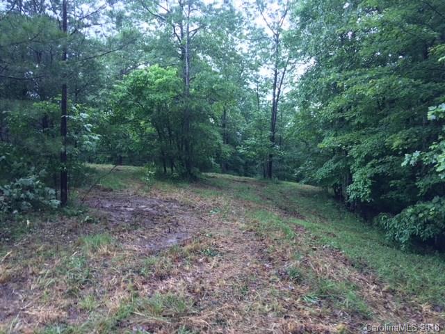 Lot 17 Silver Ridge Rd Mill Spring Mill Spring, NC 28756 - Photo 2 of 5