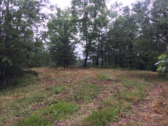 Lot 17 Silver Ridge Rd Mill Spring Mill Spring, NC 28756 - Photo 3 of 5