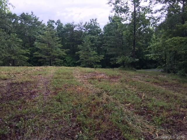 Lot 17 Silver Ridge Rd Mill Spring Mill Spring, NC 28756 - Photo 4 of 5