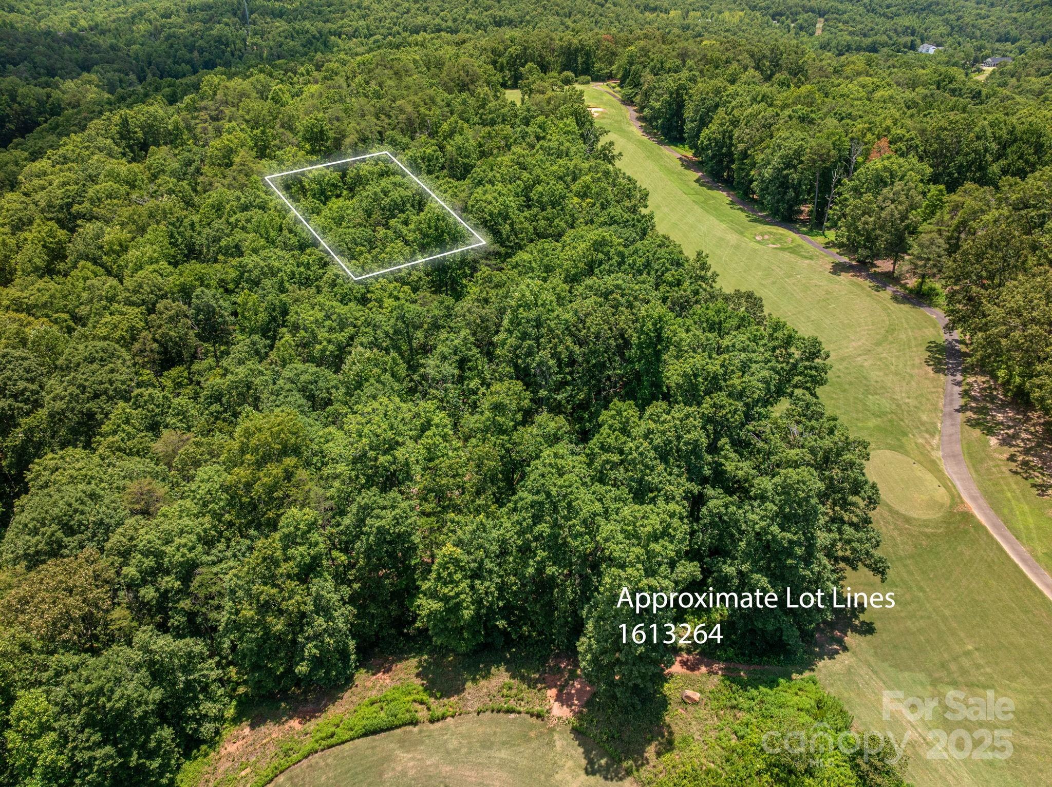 Lot 215 Plantation Drive Rutherfordton, NC 28139 - Photo 2 of 19 a view of a garden