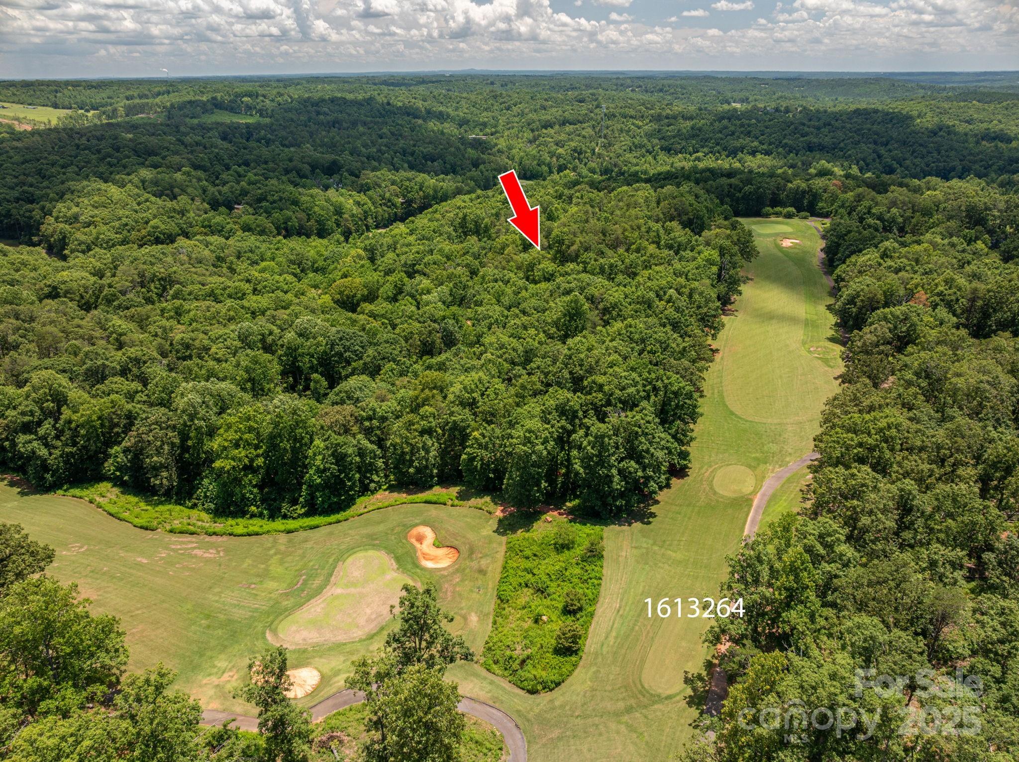 Lot 215 Plantation Drive Rutherfordton, NC 28139 - Photo 7 of 19 a aerial view of a house with a yard and lake view