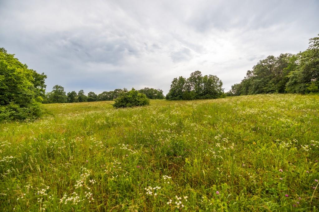 Tbd Norris Road Rayville, MO 64084 - Photo 20 of 35