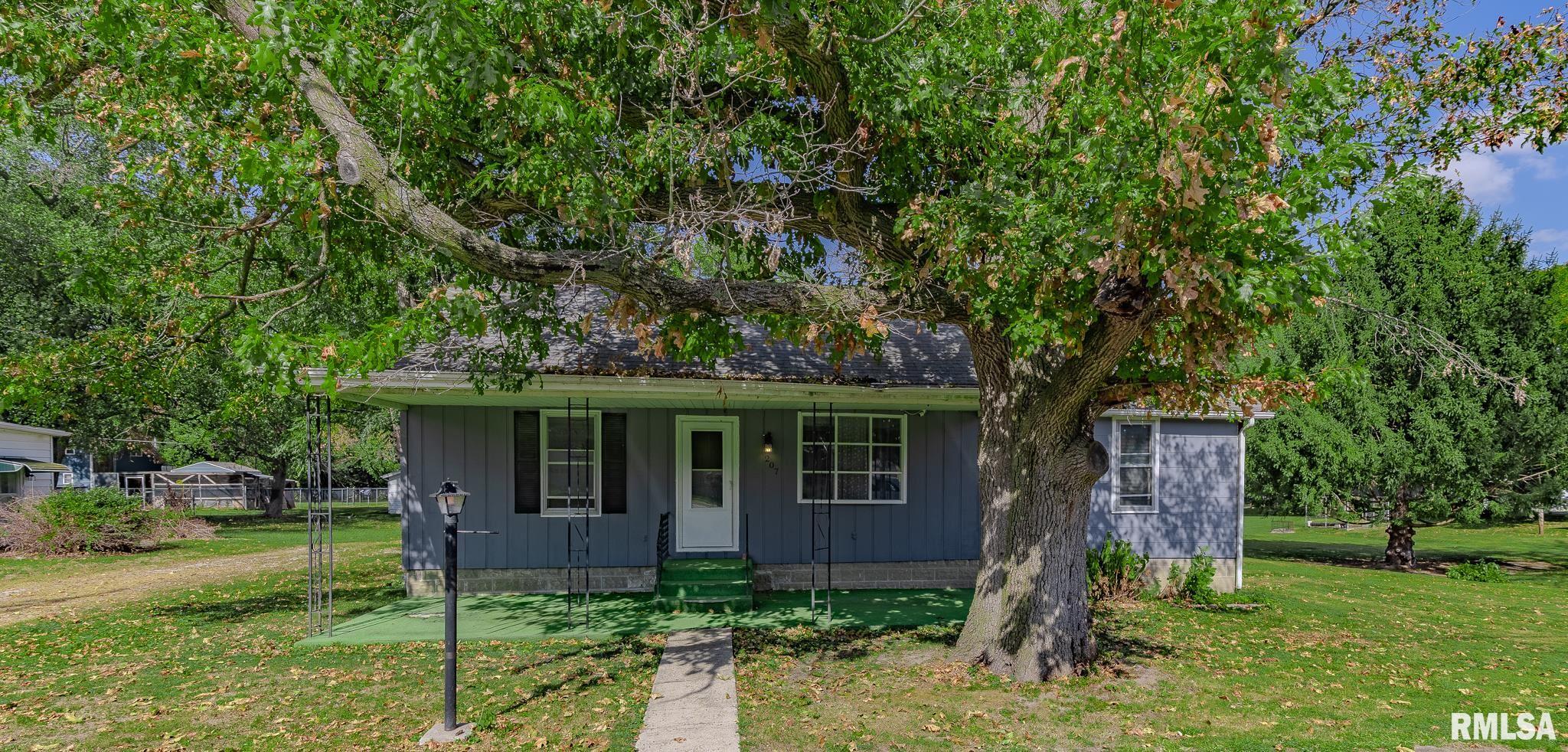 207 East Elm Street Thayer, IL 62689 - Photo 2 of 29